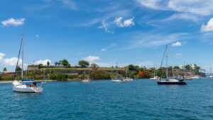 Fort de France and Sea Life