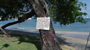 Manchineel Signage while taking care of formalities in Grenada