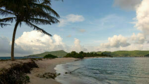 Palms, Sky and beach
