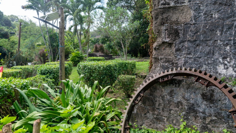 Garden at Belmont Estate