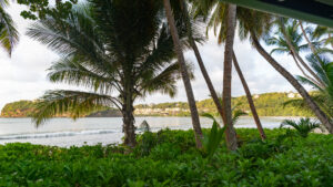 View from the room veranda