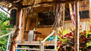 Bar and kitchen at the Fig N' Bloggoe