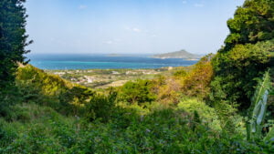 Veranda View at work