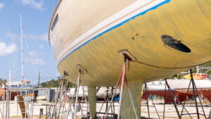 Primed bottom on Zanshin