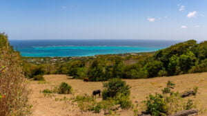 Panorama of protecting reefs