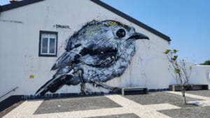 Santa Maria Bird