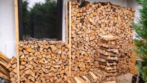 Firewood stacked against the wall