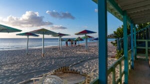 Darkwood beach bar and restaurant