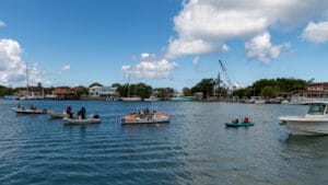 fOARtysomething arrival