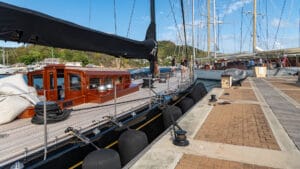 Hanuman at the docks