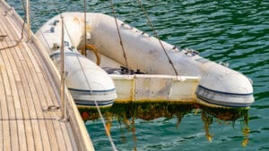 Dinghy Growth