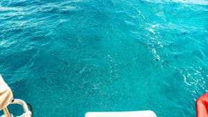 Blue waters in Cades Reef